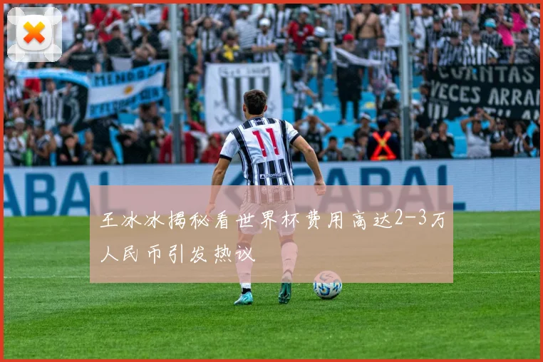 王冰冰揭秘看世界杯费用高达2-3万人民币引发热议